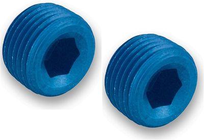 Earl's Performance 593202ERL Pipe Plug