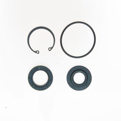 Edelmann 7095 Steering Gear Input Shaft Seal Kit